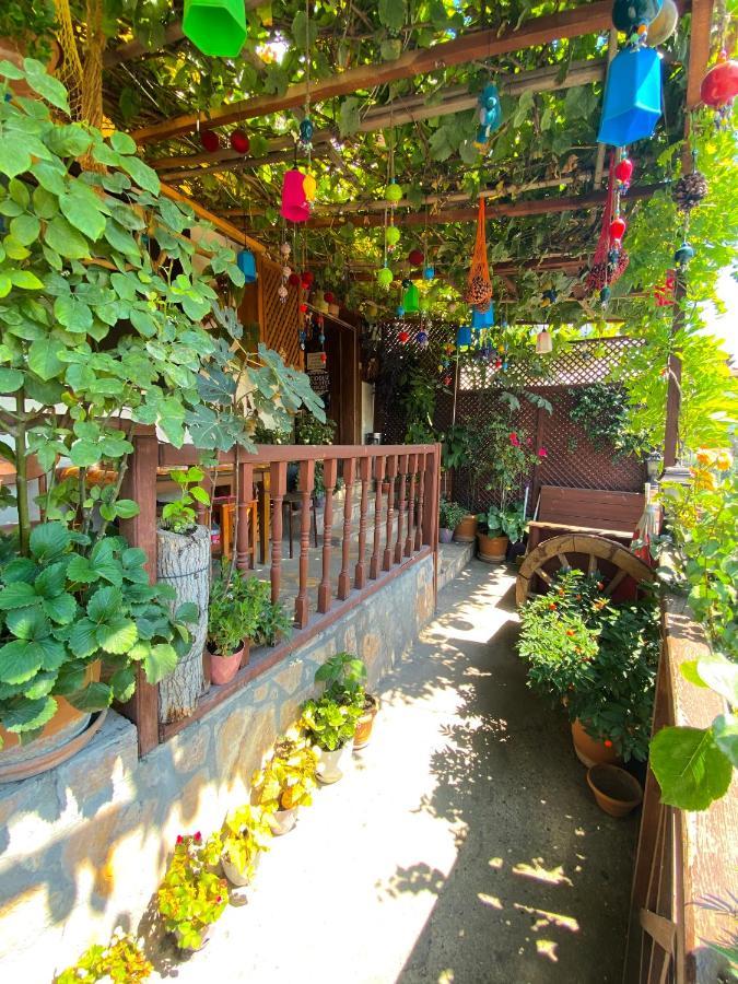 Avcioglu Konak Otel Сафранболу Экстерьер фото